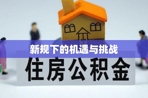 尼木新规下的机遇与挑战