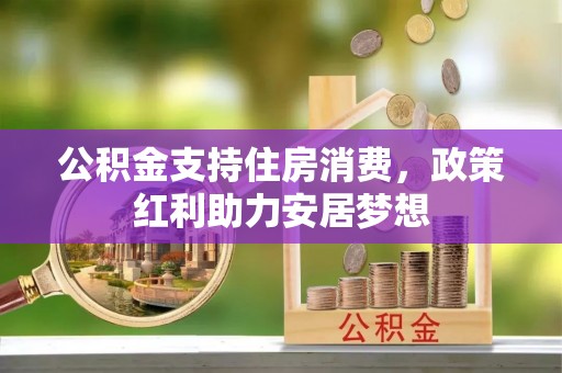 尼木公积金支持住房消费，政策红利助力安居梦想
