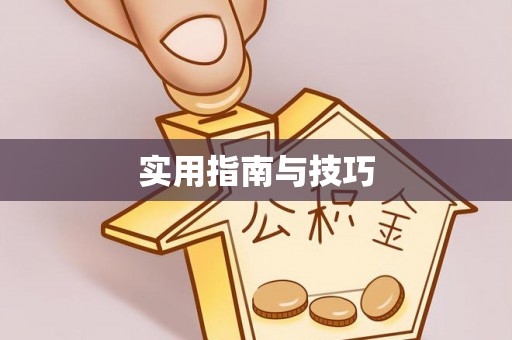 尼木实用指南与技巧