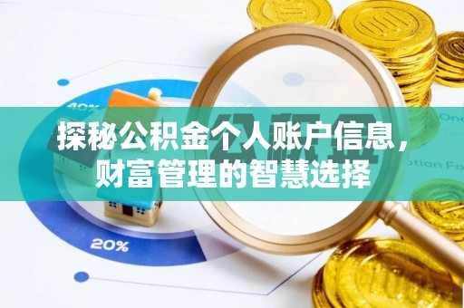 尼木探秘公积金个人账户信息，财富管理的智慧选择