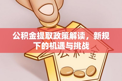 尼木公积金提取政策解读，新规下的机遇与挑战