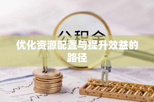 尼木优化资源配置与提升效益的路径