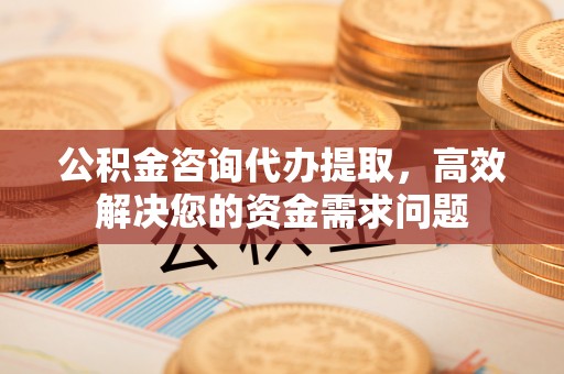 尼木公积金咨询代办提取，高效解决您的资金需求问题