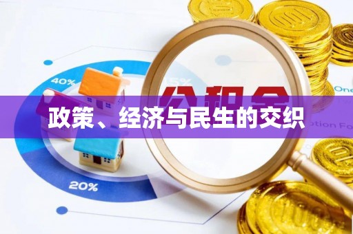 尼木政策、经济与民生的交织