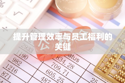 尼木提升管理效率与员工福利的关键