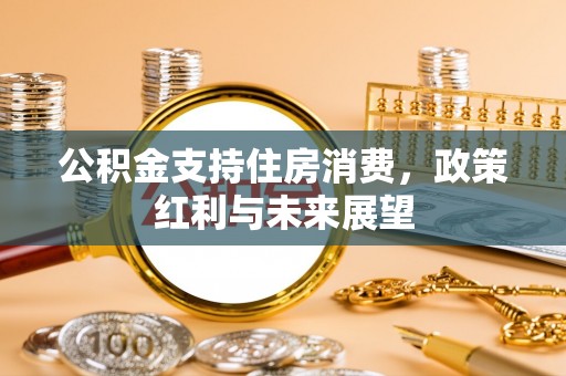 尼木公积金支持住房消费，政策红利与未来展望