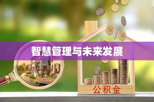 尼木智慧管理与未来发展