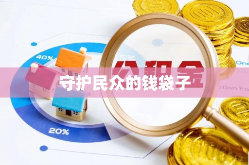 尼木守护民众的钱袋子
