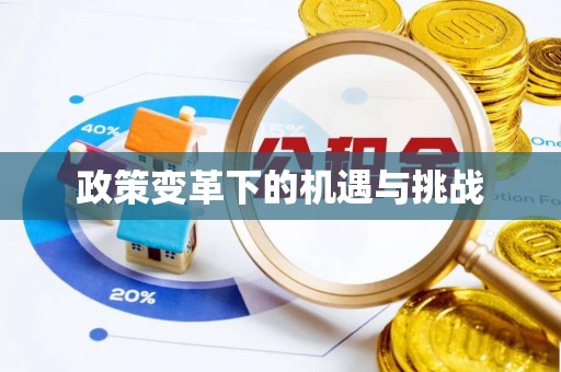 尼木政策变革下的机遇与挑战