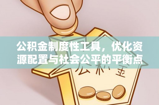 尼木公积金制度性工具，优化资源配置与社会公平的平衡点