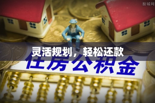 尼木灵活规划，轻松还款
