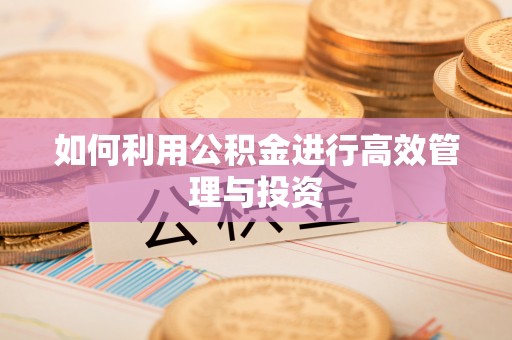 尼木如何利用公积金进行高效管理与投资