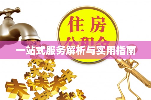 尼木一站式服务解析与实用指南