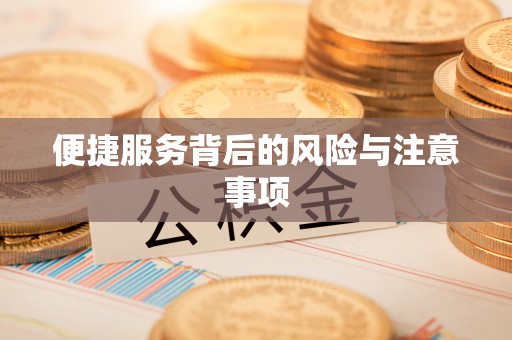 尼木便捷服务背后的风险与注意事项
