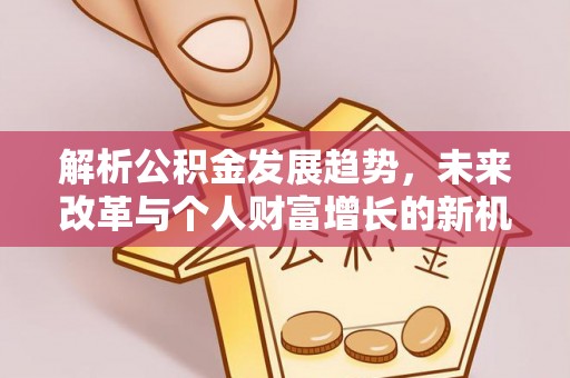 尼木解析公积金发展趋势，未来改革与个人财富增长的新机遇