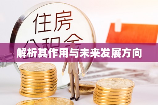 尼木解析其作用与未来发展方向