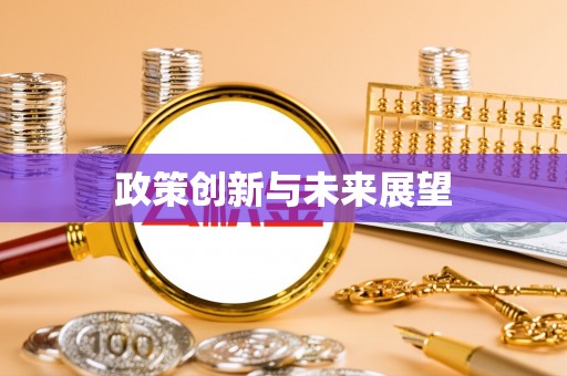 尼木政策创新与未来展望