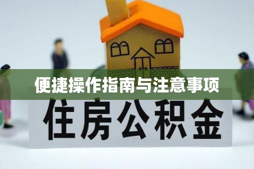 尼木便捷操作指南与注意事项